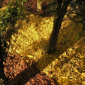 Połączenie kolorów