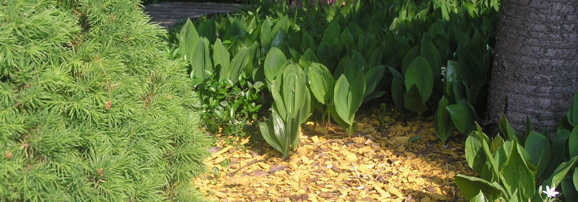 Realizacja naturalna