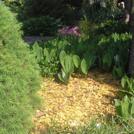 Realizacja naturalna