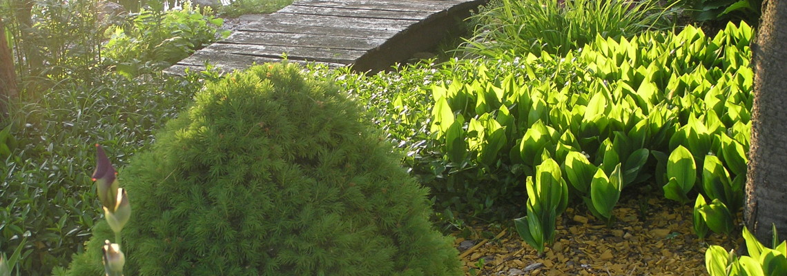 Realizacja na mostku