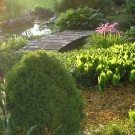 Realizacja na mostku