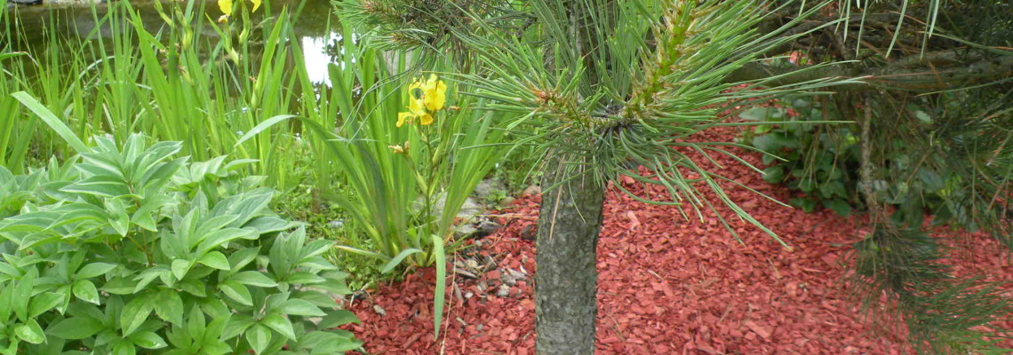 Realizacja w czerwieni